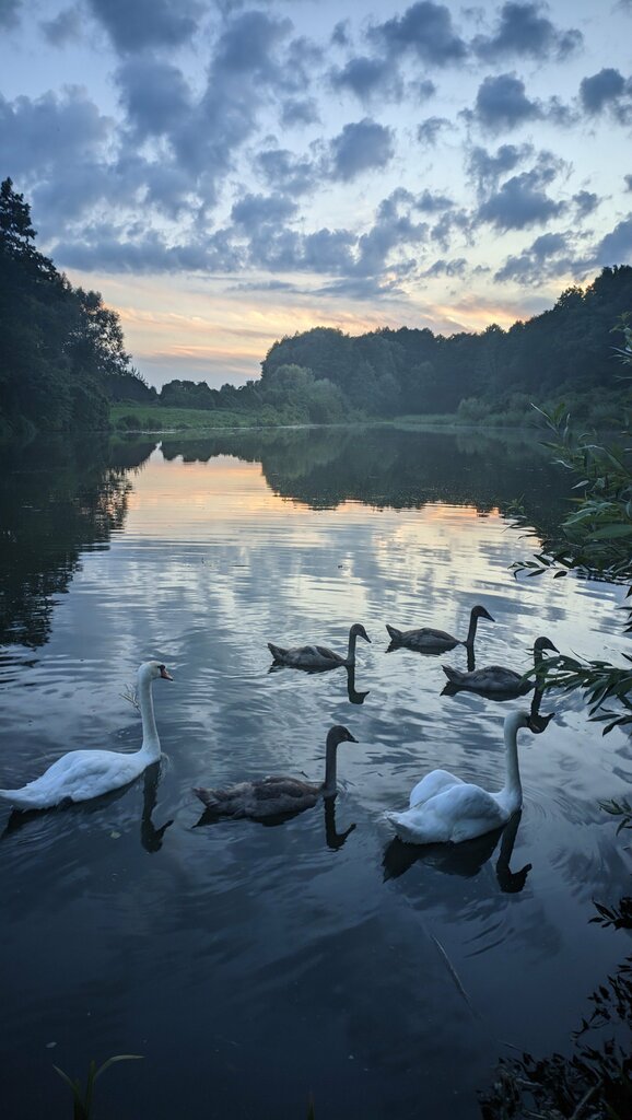 Фото 3