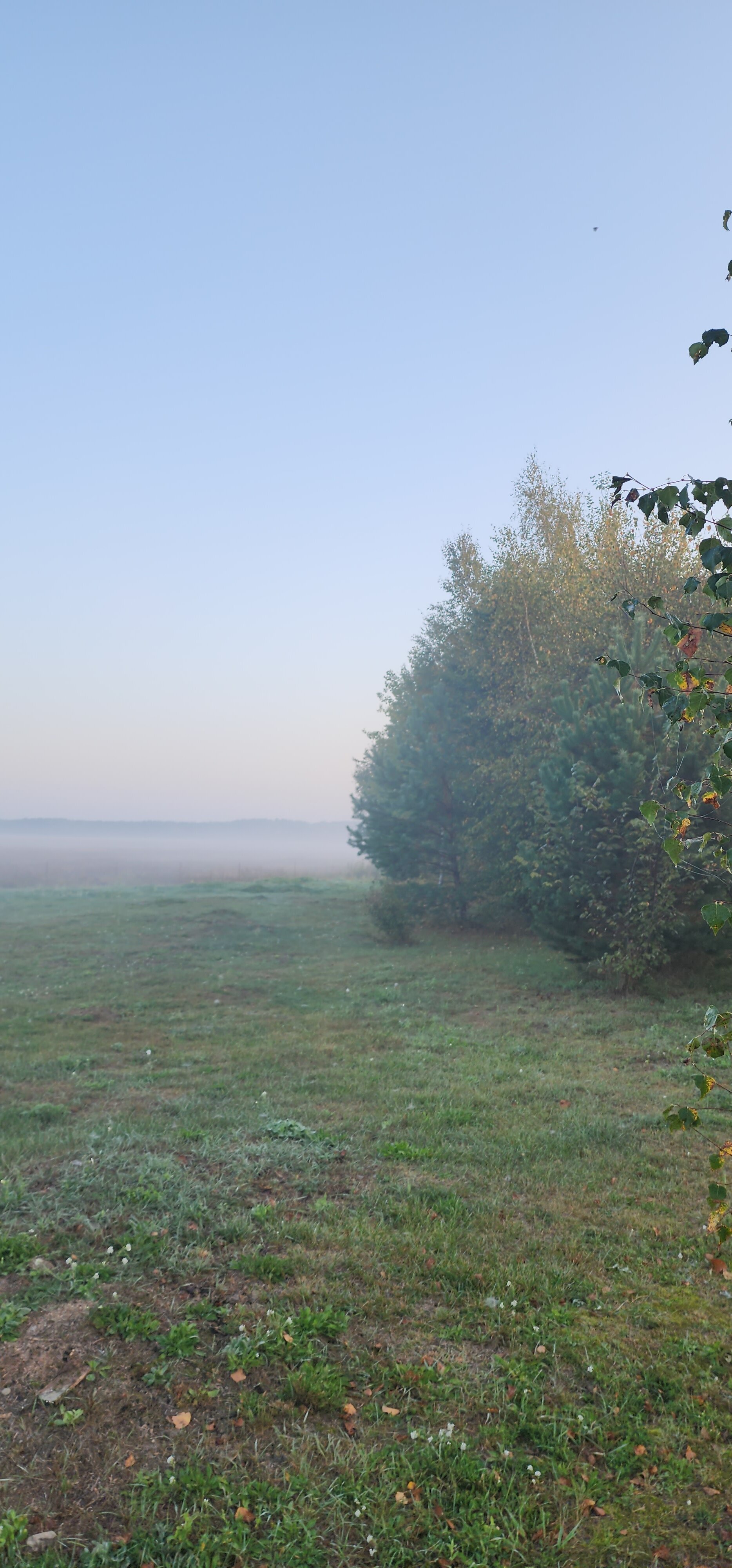 У камина