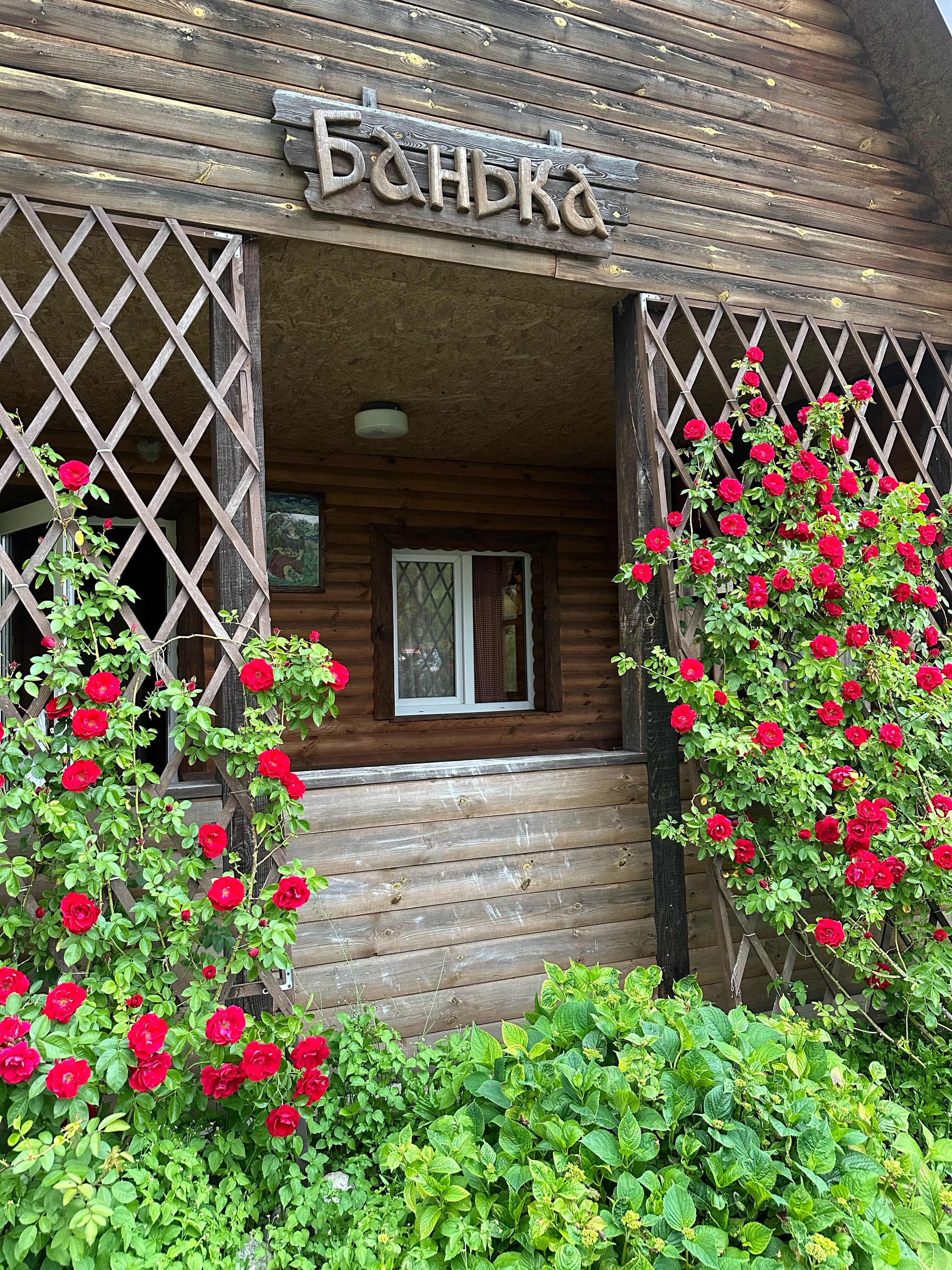 У лешего