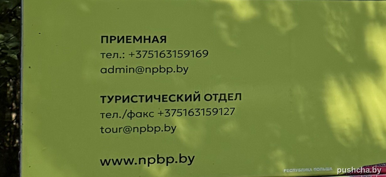 Контакты на стенде: приёмная, туристический отдел, сайт npbp.by — фото 4 из 9