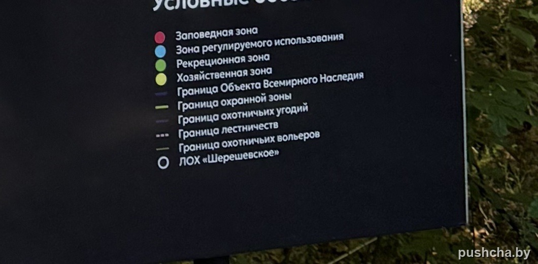 Условные обозначения стенда: зоны, границы, охотничьи вольеры — фото 7 из 9