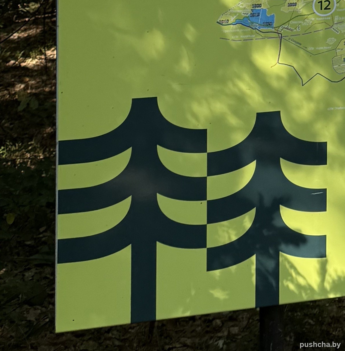 Стилизованный знак трёх сосен в нижней части зелёной панели стенда — фото 9 из 9